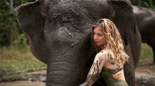 エレファントマッドファン